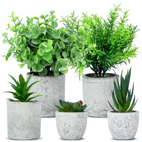 DUBUOZA 5 Stück Kunstpflanze mit Töpfen, Mini Künstliche Pflanzen Schlangenzunge, Agave Sukkulente, Eagle Claw Aloe, Künstliche Pflanzen Plastik für Desktop-Dekoration, Balkon und Büro