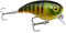 Berkley Pulse Biggie Crankbait Köder | Schwimmender, flach tauchender Crankbait für Hechte, Barsche, Zander und Bass | Hartköder für das Angeln auf Raubfische im Süßwasser | 8 cm, Barsch