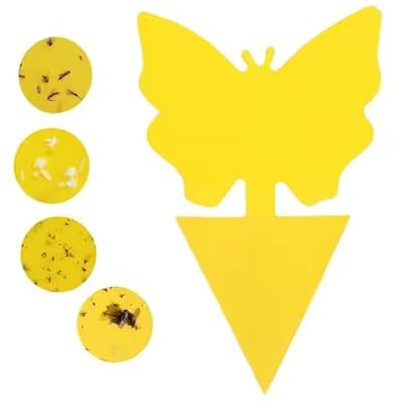 20 x gultavlor gula klistermärken fruktflugfälla insektsfälla flugfälla