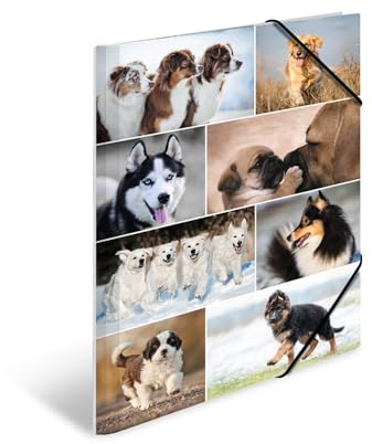 HERMA 19218 - Carpetas A3 Animales Perros, 3 unidades, carpeta de esquina infantil de cartón con impresión interior y banda elástica, juego de carpetas de cartón resistente para niños y niñas