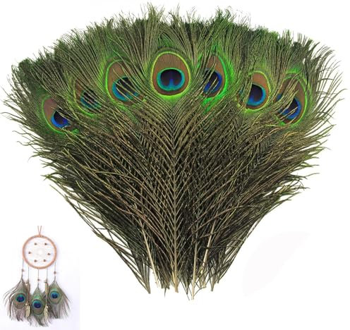 CPRNQY 12 Stücke Pfauenfedern,Pfauenfeder Künstliche Natürliche Pfauenfeder Pfauenfeder Lange Natürliche,Pfauenfeder Verwendet für DIY Handwerk Feder Kleidung Hut Handwerk Heimdekoration