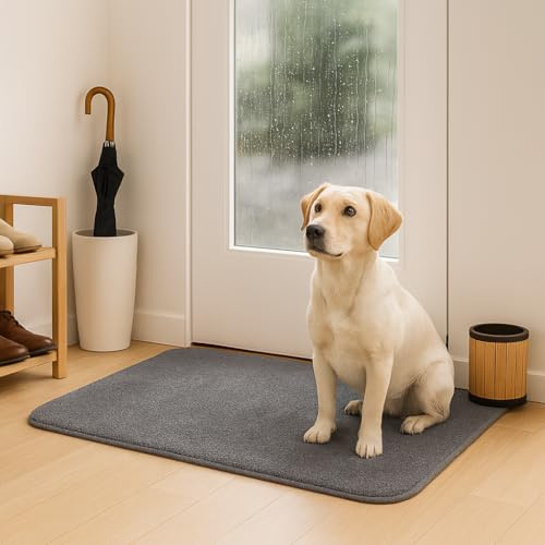 SOKANA Dirt Trapping Door Mat 50 x 80 cm,Door Mat,Non-Slip Entrance Rug for Indoor & Outdoor,Quick-Dry Dirt Trapper Floor Mat for Front Door, Hallway,Kitchen,Patio,Pets,Grey (50x80-1 Grey)
