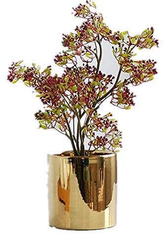 ZENGYUAN, pianta grassa in Vaso con Foglie Verdi per Piante grasse, Decorazione da Tavolo, per Interni e salotti G