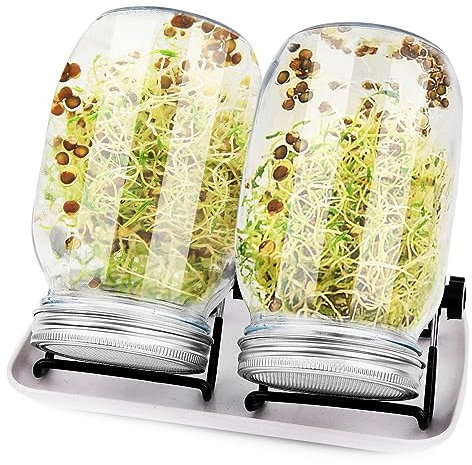 sorliva Sprossenglas Keimglas 2er Set 1000ML Sprossen Keimgerät mit Deckel Ständer und Abtropfschale Keimling Sprouter für Sprossenzucht Sprossen Microgreen Alfalfa Samen Sprouting Jar Kit