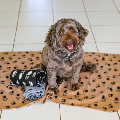 DIGIFLEX Lot de 3 Couvertures Polaires Douces XL pour Animal de Compagnie Chat Chien - Très Grande Couverture en Peluche - Beige Gris et Noir - 144 cm x 96 cm