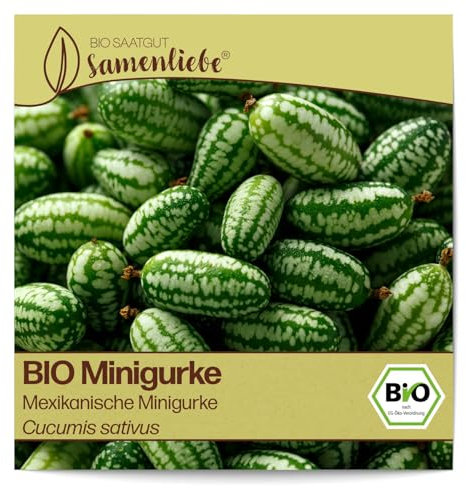 BIO Gurken Samen Sorte Cocktail (Melothria scabra) Gemüsesamen Gurken Saatgut