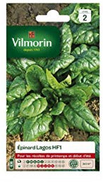 Vilmorin - Sachet graines Epinard Lagos HF1