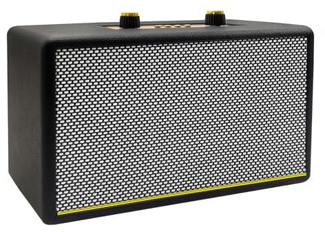 Altavoz Bluetooth retro portátil con entrada auxiliar y FM, puerto USB, ranura micro SD, altavoces inalámbricos batería, regalos hogar, aula, fiesta