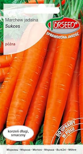 Verdica Sukces Semi di carota – Varietà di raccolta tardiva, alto contenuto di carotene e zucchero, radici croccanti da 22 a 26 cm, perfetto per il consumo fresco e la conservazione lunga, imballaggio