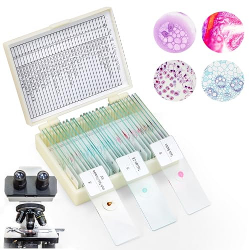 30 Stück Mikroskop Objektträger mit Biologischen Proben, Pflanze Insekt Mensch Zellen, Microscope Slides für Laborbiologie und wissenschaftliche Forschung