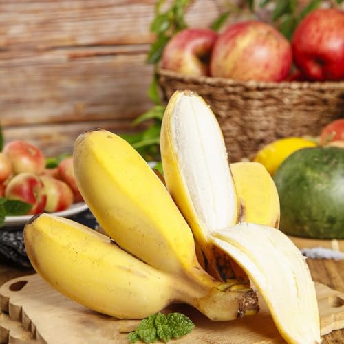 semillas de plátano cama elevada de jardín perennes resistentes banano enanos comprar bonsáis semillas bonsái interior columnar 40pcs