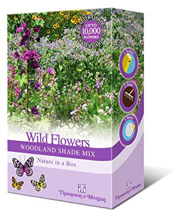 Woodland Garden Wildflower Seeds for Bees and Butterflies | Wild Flower Seed Mix Grow Your Own Foxgloves, Borage and Forget Me Nots - Suitable for Shady Areas 1 x 15g Mixed Pack by Thompson & Morgan