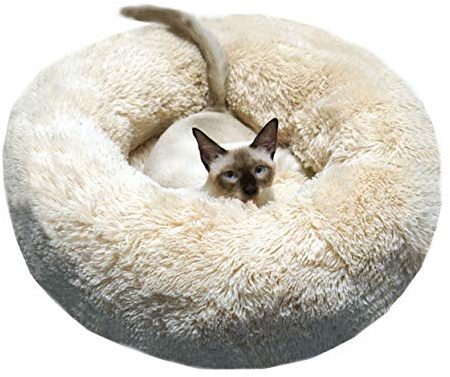 BODISEINT Modern Soft Plush Round Pet Bed for Cats or Small Dogs, Mini Medium Sized Dog Cat Bed Self Warming Autumn Winter Indoor Snooze Sleeping Cozy Kitty Teddy Kennel (24'' D x 8'' H, Champagne)