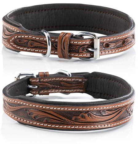 Jack & Russell Leder Hundehalsband, Hand-gefertigt & gepolstert – Halsband große Hunde aus Büffelleder, Lederhalsband dunkel-braun Talia (XL (46,0-58,0cm)