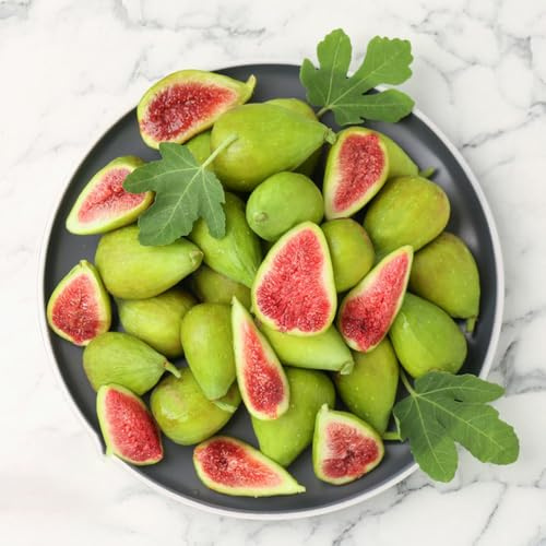 Semi di fico - da frutto nani, resistenti frutto colonnare da colonnari per giardinieri esotico semi di serre balcone comprare 300pcs