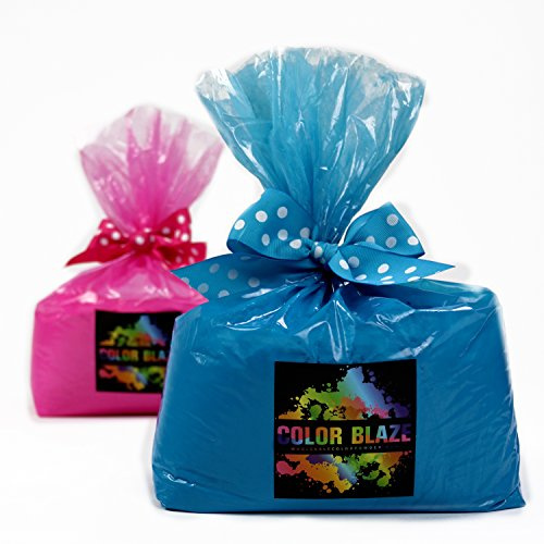 COLOR BLAZE Baby Gender Reveal Powder - Color Powder For Car & Motorcycle Burnout, Toss, Photoshoot, Party & Festival - Pink & Blue - Combo Pack of 2 Bags - 10 Pounds in Bulk (5 Pounds Each)