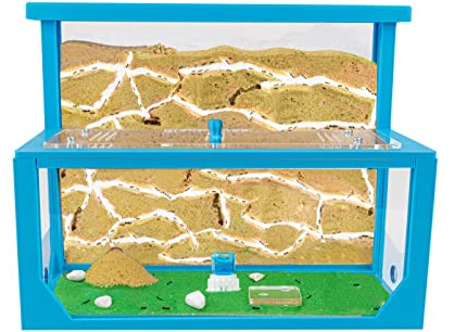 AntHouse - Fourmilière Naturelle en Sable 3D | Kit L (Sandwich + Caisse de Fourrage) | Ferme de Fourmis Bleu | Colonie de Fourmis Incluse