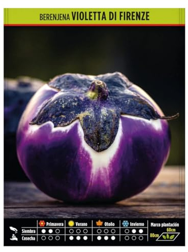 Semillas Hortícolas - Berenjena Violetta di Firenze - Semillas listas para plantar.