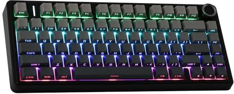 EPOMAKER x Aula F75 Gasket Mechanische Tastatur, 75% Hot swap-fühige Gaming-Tastatur mit Fünf-Schicht-Polsterung&Knopf, Bluetooth/Wireless/USB-C, RGB (Black Ombre, LEOBOG Reaper Switch)