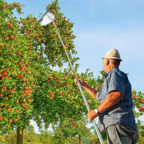 LekLai Obstpflücker, Apfelpflücker Mit Teleskopstiel, Verbindungsstange Aus Edelstahl, Metallklemme/Gold/10M(32.8Ft)