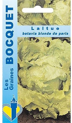 Sachet de graines de Laitue batavia blonde de Paris - 4 g - légume feuille - LES GRAINES BOCQUET