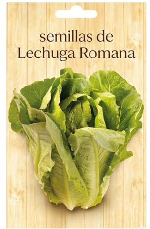 Huerto Urbano en Casa con Lechuga Romana DECOALIVE | Semillas para Producción Continua