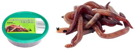 Dendrobena Angelwürmer, Riesen-Rotwürmer, Lebendfutter, 3 Dosen, klein, mittel oder groß, Angelköder, Haustierfutter, Reptilienfutter (3 Dosen klein 30 stck je Dose)