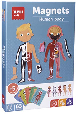 APLI Kids 18531- Gioco educativo Magnetico sul Corpo Umano per Bambini dai 5 Anni in su