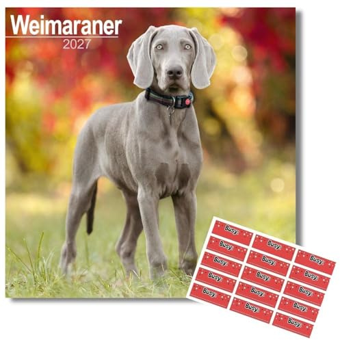 Avonside Weimaraner 2027 Calendar with Organisational Stickers, 16 Month Square Wall Calendar (Sept 2026 - Dec 2027), UK Planner with Weimaraners, For Dog Lovers, Home or Office, 11.6 x 11.6 in