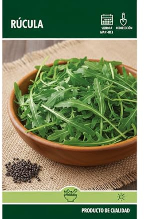 DECOALIVE Semillas de Rúcula para Huerto Urbano y Cultivo Doméstico de Hoja Verde