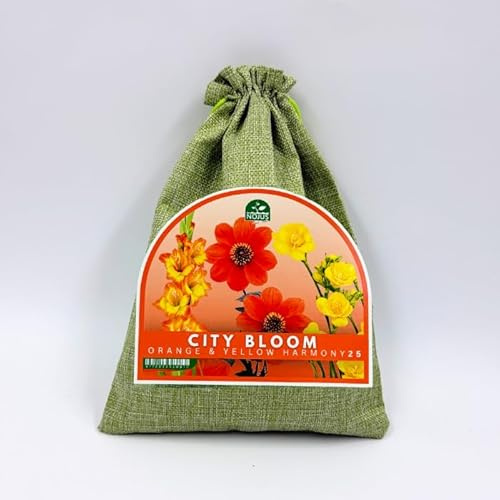 Nojus City Bloom Orange & Yellow Harmony 25 – Mix di Bulbi e Tuberi (Iris, Fresie, Dalie), Fiori Estivi Giallo-Arancio per Giardino, Balcone, Terrazza e Vasi – 25 Pezzi