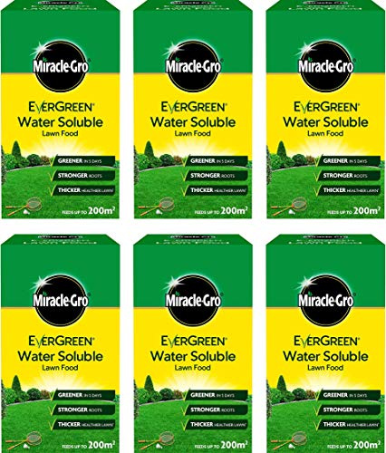 Miracle-Gro Water Soluble Lawn Food 6kg (6 x 1kg Packs)