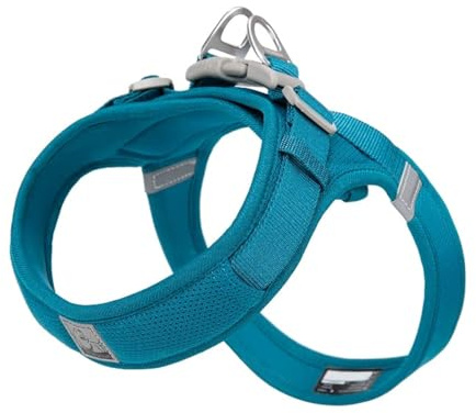 WINHYEPET Truelove Dog Harness Soft Mesh Reflective Breathable Step-In Dog Harness,Easy Adjustment Harness with Safety Buckle for Extra Small and Small Dogs, Vest Harness TLH3013(Blue,S)