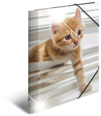 HERMA Sammelmappe A4 Katzen, Kinder Eckspanner-Mappe aus Kunststoff mit Tier Motiv, Hochglanz-Optik, Gummizug, Innenklappen und Innendruck für Jungen und Mädchen