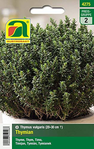 Austrosaat 4275 Thymian (Thymiansamen)