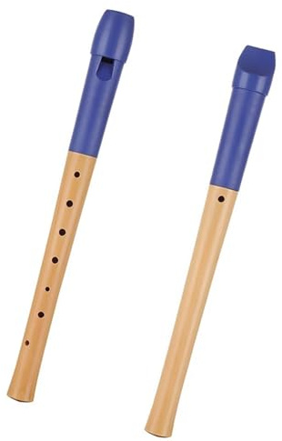 skola blockflöjt Blockflöjt 8-håls Elever Nybörjare Spelar Skolans Åttahåls Blockflöjt Semi-trä Musikinstrument