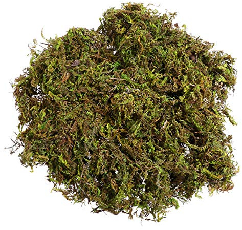 Housoutil Artificial Fake Moss, 1Bag Artificial Moss, 60g Faux Moss for Crafts, Craft Moss for Patio Decoration, Model Grass for Indoor Plant Pots