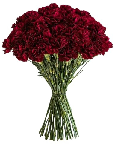 Bouquet de Clavel Rojo con 50 Flores Naturales de Alta Duración