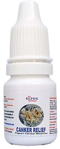 Dr PDX Médecine de traitement du chancre de pigeon || Poudre de soulagement du chancre || Médecine des pigeons || Fournitures pour animaux || Médecine pour animaux || par Dr PDX (20 g)