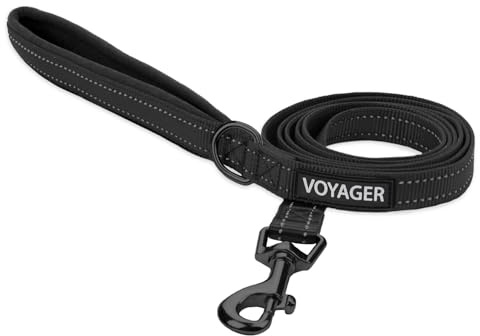Best Pet Supplies Voyager Nylon Dog Leash - 6ft Black, Large