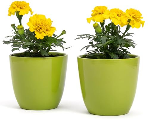 Set di 2 Vasi in terracotta | Misure D.10 cm H.9 cm | Ideali per Piante, Fiori e Bonsai. Coppia di Vasi da Interno ed Esterno | Portavasi Eleganti per Casa, Giardino, Balcone, Terrazzo (Verdi)