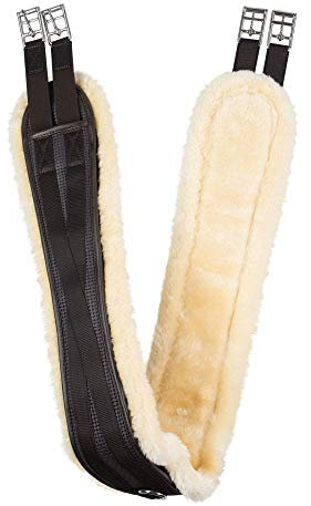 HORZE Atlanta Sottopancia Universale, Marrone, 145