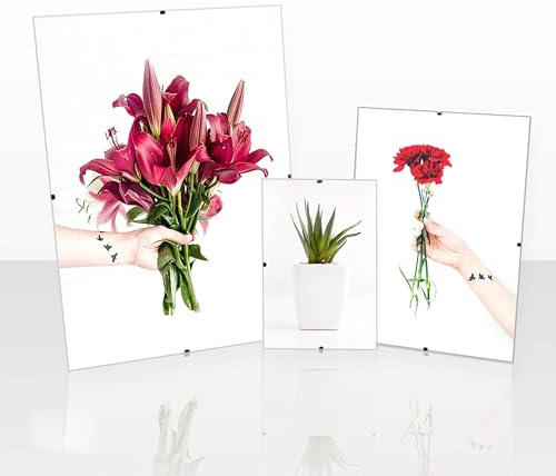 Clippo Rahmenloser Bilderrahmen Posterrahmen 50x100 cm Cliprahmen Bildhalter 100x50 cm mit Rückwand und spiegelfreiem Antireflex Kunstglas 1 mm