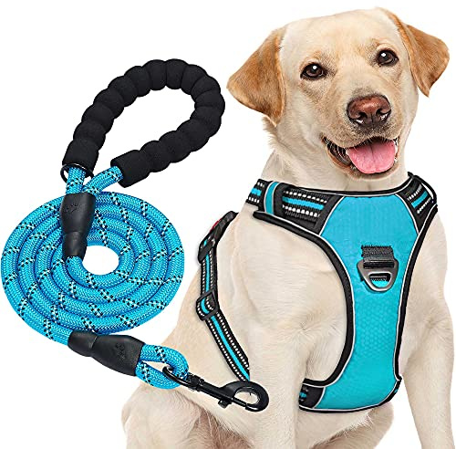 haapaw – Harnais anti-traction pour chien de taille moyenne et grande, réglable, en tissu Oxford réfléchissant, facile à contrôler, avec une laisse robuste gratuite
