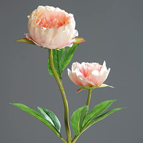 Pfingstrose mit 2 Blüten 60cm Peach DP Kunstblumen Seidenblumen künstliche Blumen Päonie
