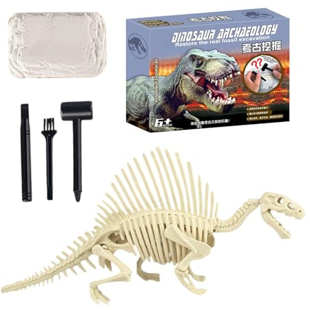 Kit d'excavation - Squelette de dinosaure pour et filles - Jouet éducatif paléontologique - Jeu éducatif - Anniversaire d'enfant - Activités de classe - Apprentissage de la menthe