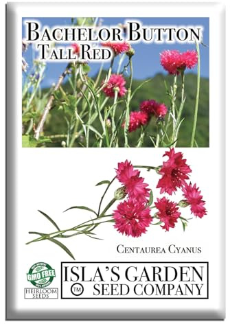 Tall Red Bachelor Button Seeds (Cornflower) – Non GMO & Heirloom Seeds by Isla’s Garden Seeds, Centaurea cyanus, Classic Cut Flowers for Beds & Borders, Easy Summer Blooms, Gift Idea