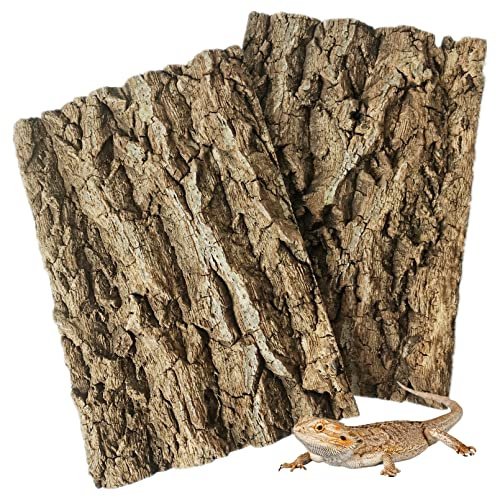 Fhiny 2 sfondi in Corteccia di Sughero, 29,5 x 19,6 cm, Corteccia di Sughero Naturale, per rettili, rettili, Arrampicata, Parete, terrario, Accessori Decorativi per Tartaruga, Drago, Camaleonte,