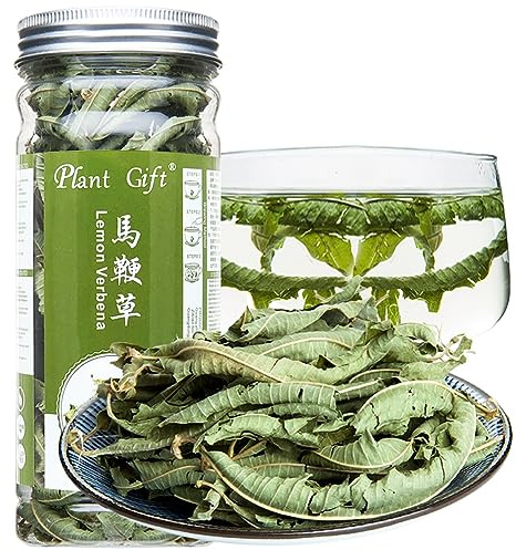 Plant Gift 100% Lemon Verbena Tea 马鞭草 100% citron Verbena Tea, herbes naturelles Lâche Citron séché lâche Feuilles de thé de beauté Chine Chinoise 20G / 0.7oz
