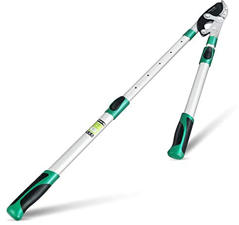 Heavy Duty Anvil Lopping Shears -2 inch Cutting Capacity Bypass Lopper - Extendable 26 Inch to 41 Inch,Professional Tree Branch Cutter